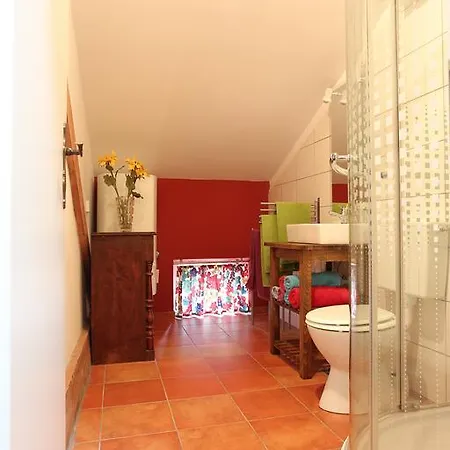 Appartement The Soca House Tolmin Extérieur photo